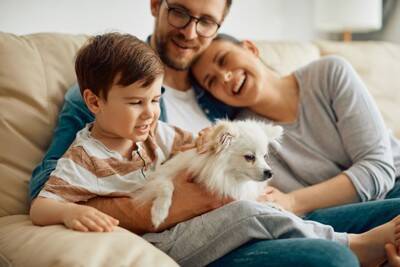 犬の年齢は人間でいうと何歳？計算方法や寿命を延ばすためにできることまで