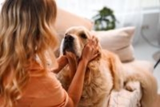 犬が『楽しくないとき』にする4つのサイン…愛犬を退屈にさせないコミュニケーションの取り方とは？