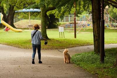 犬の『リード』伸縮タイプはよくないの？主なデメリットや危険を回避するために知っておくべきことまで