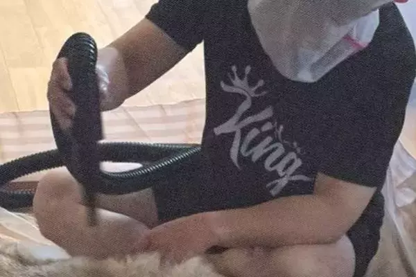 大型犬の抜け毛が多すぎて困った結果→ドライヤーをする時に…試行錯誤の末に辿り着いた『最終形態』に1万いいね「結界で草」「素晴らしい工夫」