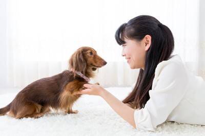 犬が人に話しかけているときにする仕草や行動5選　愛犬がアピールしてきたらどう対応すべき？