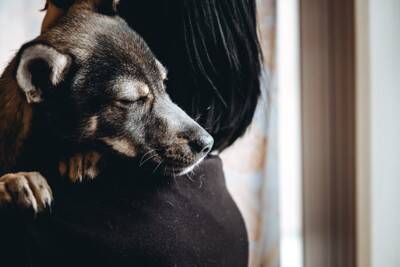 犬が抱っこされると『降りたがる』ときの心理5つ　嫌がる理由から慣れさせるコツまで