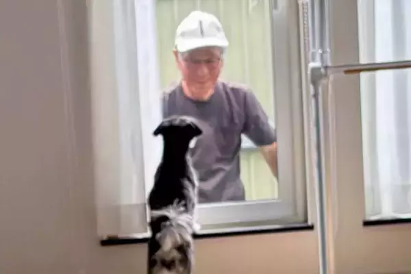 年齢差69歳のおじいちゃんと犬→本当の『祖父と孫』のようで…思わず涙する『家族愛に溢れた日常』が70万再生「長生きして」「全てほっこり」
