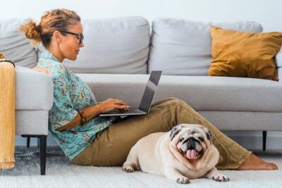 犬が『警戒心ゼロ』な状態とは？どんな態度や仕草をみせるの？リラックスしてもらうコツまで