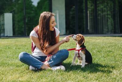 犬が『満足していない』ときにみせるサイン５つ　愛犬の不満を解消するためにできることとは？