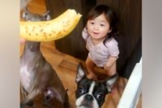 バナナを欲しがる赤ちゃんと2匹の犬→ママが『お座り』と言うと…思わずツッコミたくなる光景が7万再生「お前が座るんかーい！」「いい兄弟」