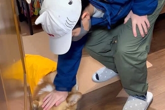 小学校へ行く男の子→なぜか犬がふてくされていて…愛おしすぎる『まさかの理由と表情』が17万再生「健気すぎる」「前後の顔の変わりようｗ」