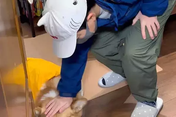 小学校へ行く男の子→なぜか犬がふてくされていて…愛おしすぎる『まさかの理由と表情』が17万再生「健気すぎる」「前後の顔の変わりようｗ」