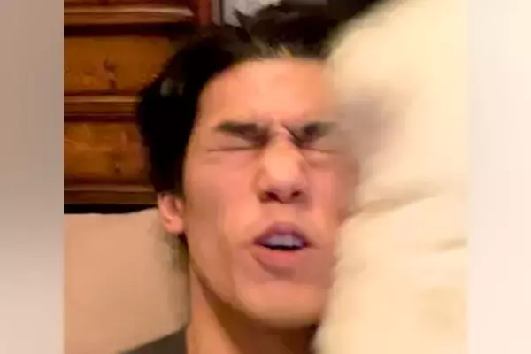 実家に帰省した男性→『おかえり！』と出迎えてくれた犬が…想像を超える『大歓迎』が99万再生「もはや洗車ｗｗｗ」「苦しそうで草」と爆笑