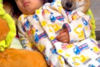 朝、起きたばかりの小さな女の子→なぜか『犬のベッド』に向かって…尊すぎる光景が13万再生「お互いに枕にｗｗ」「なんて可愛いの」と絶賛