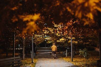 夜に愛犬を散歩させるときの『絶対NG行為』4選　安全に歩くための対策とは？