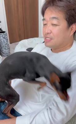 散歩に行きたくない犬に『散歩』と言った結果…あまりにもあざとい『まさかの拒否方法』が47万再生「言葉理解してるｗ」「仕草可愛すぎ」と悶絶