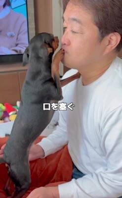 散歩に行きたくない犬に『散歩』と言った結果…あまりにもあざとい『まさかの拒否方法』が47万再生「言葉理解してるｗ」「仕草可愛すぎ」と悶絶