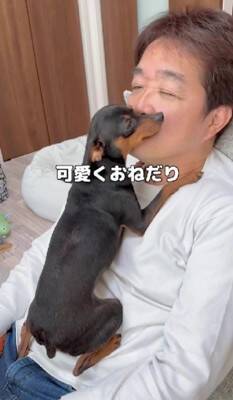 散歩に行きたくない犬に『散歩』と言った結果…あまりにもあざとい『まさかの拒否方法』が47万再生「言葉理解してるｗ」「仕草可愛すぎ」と悶絶