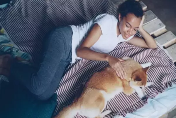 愛犬との信頼関係はどこで測るの？注目すべきポイントから信用されるためのコツまで