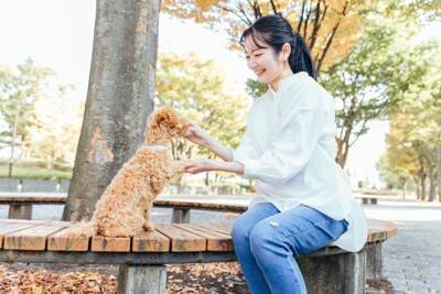愛犬との信頼関係はどこで測るの？注目すべきポイントから信用されるためのコツまで