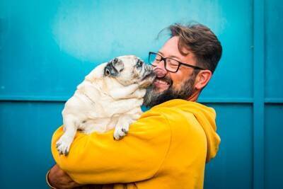 愛犬との暮らしを充実させる『コミュニケーション』4つ　今よりもっと仲良くなるための秘訣とは？