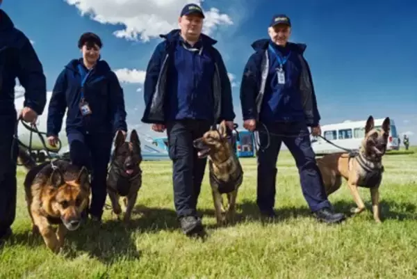 AIが犬の性格診断を簡単に！犬を迎える際の相性チェックにも応用