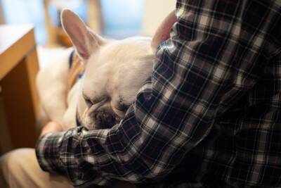 犬が飼い主に『抱っこ』をおねだりする理由5つ　愛おしすぎる心理から応え方の注意点まで