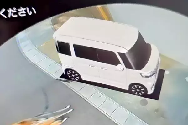 車に搭載されている『3Dカメラ』を確認した結果→なぜか『犬』が映っていて…シュールすぎる『爆笑の光景』が55万再生「リアルタイムで草」