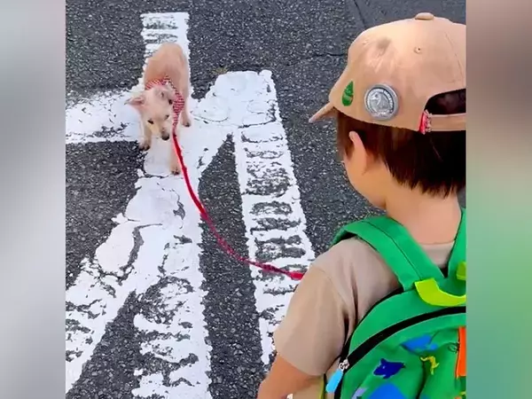 2歳の男の子と16歳のおじいちゃん犬が『一緒にお散歩した』結果→愛おしすぎる光景が6万再生「ダブルリードｗ」「癒される」と反響