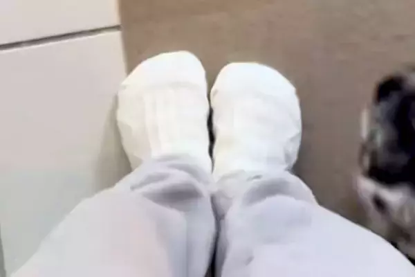 家の中を移動すると、必ず『犬』がついてきて…とんでもなく愛おしい『おしりの定位置』が27万再生「乗っかってるｗｗ」「安心するんだね」