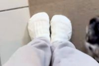 家の中を移動すると、必ず『犬』がついてきて…とんでもなく愛おしい『おしりの定位置』が27万再生「乗っかってるｗｗ」「安心するんだね」