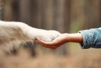 犬が『味方』だと思っている人にみせる5つのサイン　頼りにされる飼い主の共通点まで