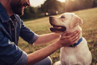 犬が『味方』だと思っている人にみせる5つのサイン　頼りにされる飼い主の共通点まで