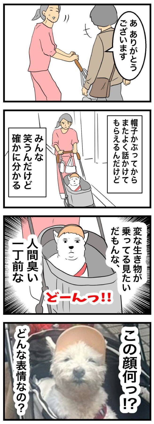 ちーちゃんですけどもっ【第362話】「なんだか笑う」