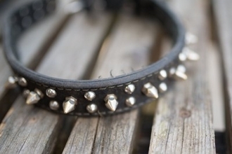 犬にとって『危険な首輪』５選　絶対NGな理由や起こり得るトラブルまで