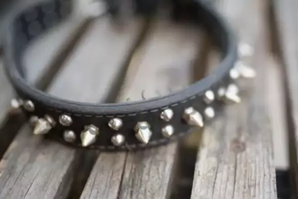 犬にとって『危険な首輪』５選　絶対NGな理由や起こり得るトラブルまで