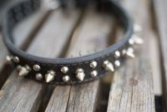 犬にとって『危険な首輪』５選　絶対NGな理由や起こり得るトラブルまで