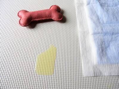 犬が『トイレを失敗してしまう』理由５選　ペットシーツからはみ出してしまう原因や対処法まで