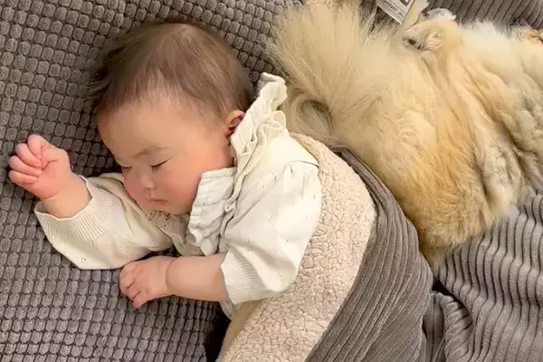 赤ちゃんが『生まれた瞬間から犬と一緒に育った』結果→四年後…泣けるほど素敵な『成長記録』と『現在』が14万再生「ジーンとする」「優しい」