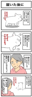 ちーちゃんですけどもっ【第339話】「購入した後に」