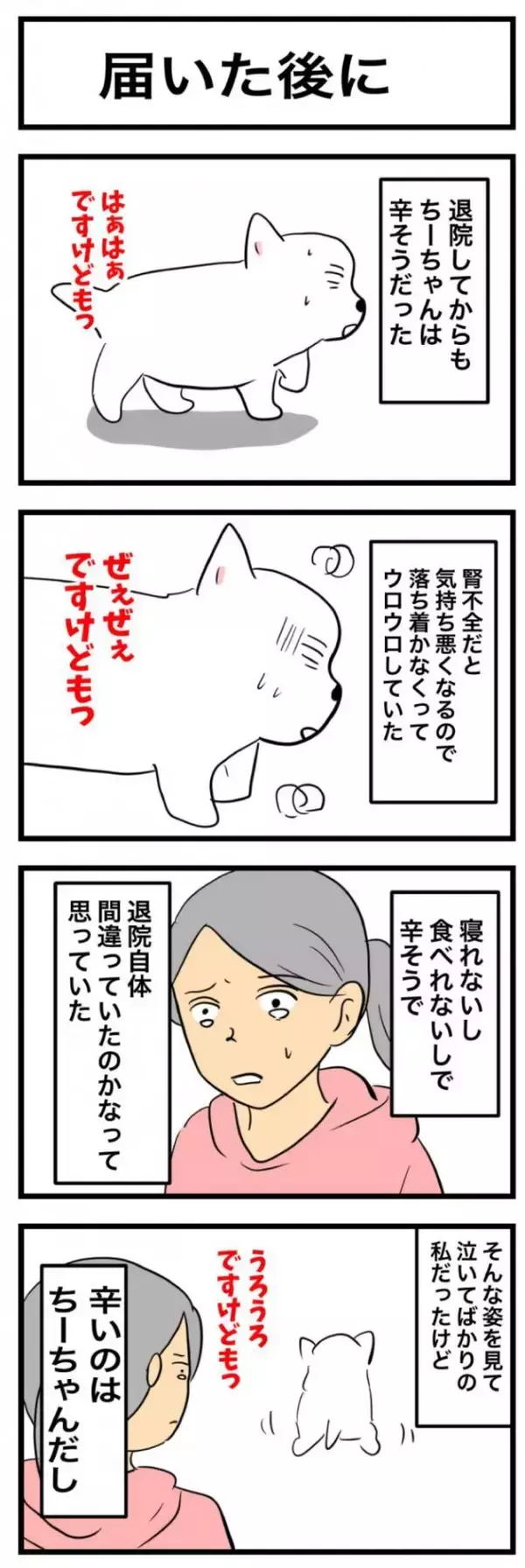 ちーちゃんですけどもっ【第339話】「購入した後に」