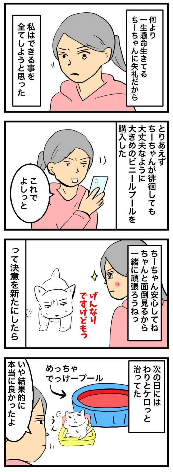 ちーちゃんですけどもっ【第339話】「購入した後に」