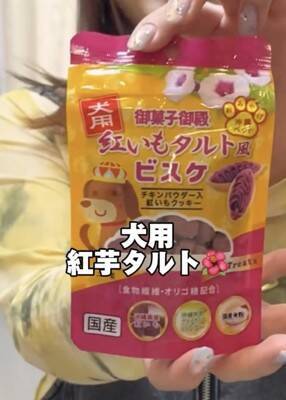 犬嫌いな女性が『人間好きな犬におやつをあげた』結果…ドタバタ過ぎるチャレンジが面白過ぎると95万再生「爆笑した」「どっちも可愛いｗ」