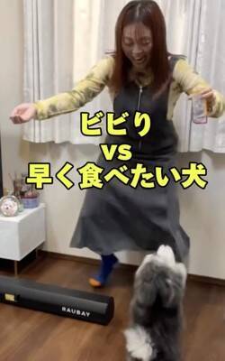 犬嫌いな女性が『人間好きな犬におやつをあげた』結果…ドタバタ過ぎるチャレンジが面白過ぎると95万再生「爆笑した」「どっちも可愛いｗ」