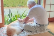 おじいちゃんが『17歳の老犬』を溺愛した結果→どんな時でもそばにいて…あまりにも尊い『日常の一コマ』に反響「ほのぼの素敵」「優しい世界」