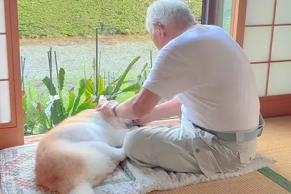 おじいちゃんが『17歳の老犬』を溺愛した結果→どんな時でもそばにいて…あまりにも尊い『日常の一コマ』に反響「ほのぼの素敵」「優しい世界」
