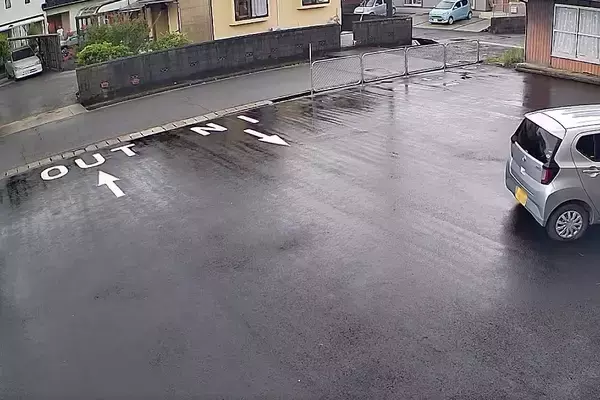 雨の日、夫に『犬の散歩』をお願いしたら→持っていたのは『傘』ではなく…二度見してしまう『衝撃の光景』に5万いいね「爆笑ｗｗ」「平和で好き」