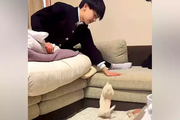 息子に『おにいちゃん、あそんで』とおねだりする赤ちゃん犬→ソファに登れずにいたら…あまりにも素敵な『神対応』が552万再生「平和な世界」