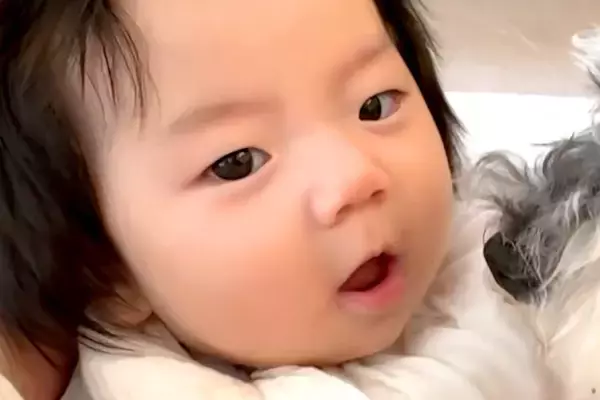 生まれて半年の赤ちゃんと犬→『大好き』が溢れてしまい…あまりにも尊い『距離感がバグっている光景』に反響「見守ってて優しい」「可愛すぎる」