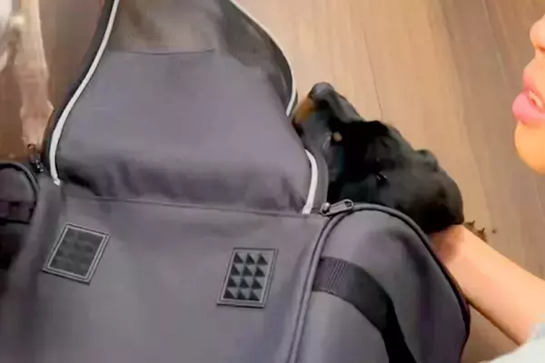 息子の12歳の誕生日に、内緒で『子犬を飼った』結果→見た瞬間に感情が溢れ出して…感動的な光景に反響「泣いて…なんて幸せ」「成長が楽しみ」