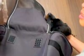 息子の12歳の誕生日に、内緒で『子犬を飼った』結果→見た瞬間に感情が溢れ出して…感動的な光景に反響「泣いて…なんて幸せ」「成長が楽しみ」