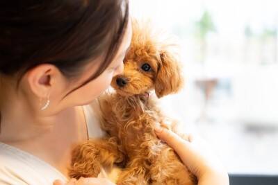 犬が『うつ病』になっているときの初期症状5選　見逃してはいけないサインや早期発見のポイントまで