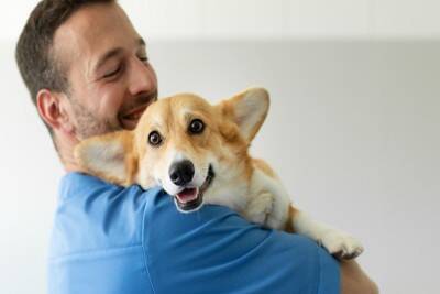 犬が『うつ病』になっているときの初期症状5選　見逃してはいけないサインや早期発見のポイントまで