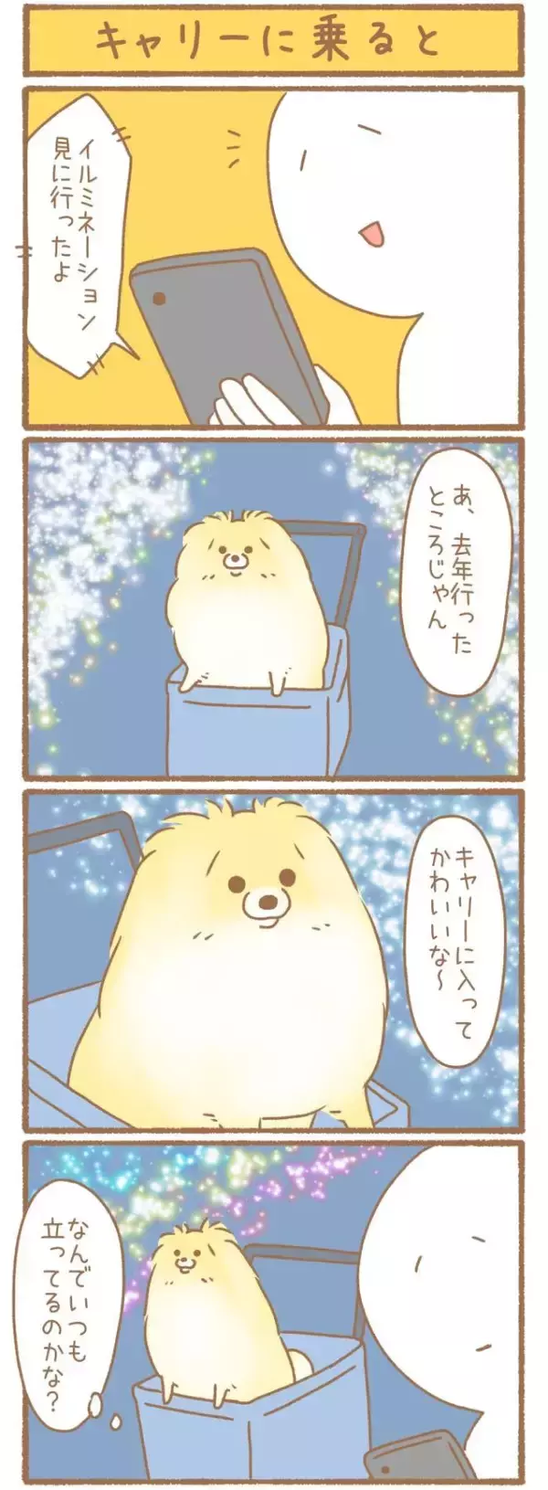 ただの犬好きです。【第340話】「キャリーに乗ると」